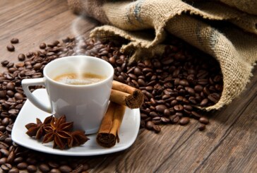 VIDEO – Au Mexique, la production de café est elle en péril ?