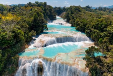Les célèbres cascades d’Agua Azul asséchées et privées d’eau turquoise !