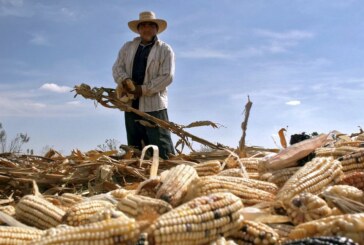 France culture propose une série d’emissions sur la situation au Mexique – Que Viva México ! (Radio)