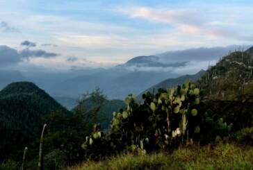 La vallée de Tehuacan-Cuicatlan au patrimoine de l’Unesco ! (Video)