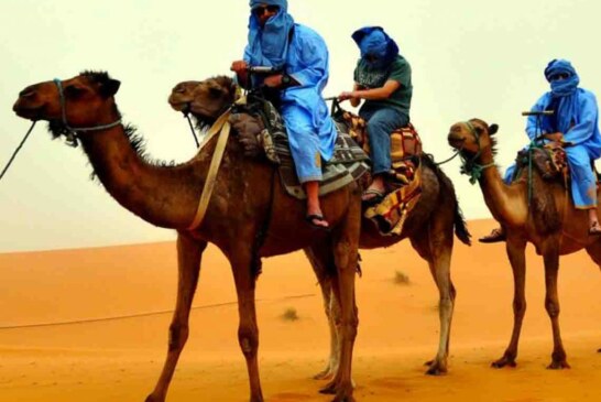 Coup d’envoi de la 9ème édition de la semaine Arabe au Mexique !