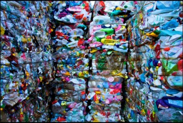 Au Mexique, le plastique recyclé sert à construire des maisons ! (Video)