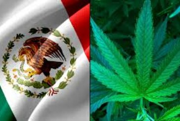 Le Mexique à un pas de la légalisation de la marijuana !