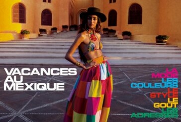 “Vacances au Mexique” – Ils veulent tous venir ! (Vidéo)