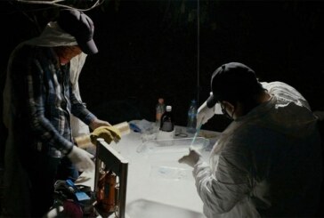 « Projet Cartel : Mexique, le silence ou la mort », mardi 27 avril sur France 5 !