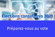 Les élections consulaires pour les NULS ! Votre guide pour bien voter au Mexique…