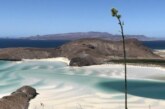 Basse-Californie : l’autre Mexique 100% nature !