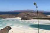 Basse-Californie : l’autre Mexique 100% nature !
