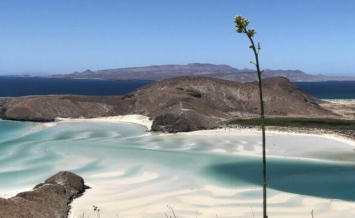 Basse-Californie : l’autre Mexique 100% nature !