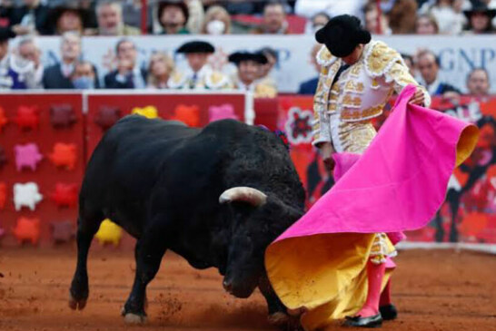 Après plus d’un an d’interdiction, la corrida a repris à Mexico dans la plus grande arène du monde !