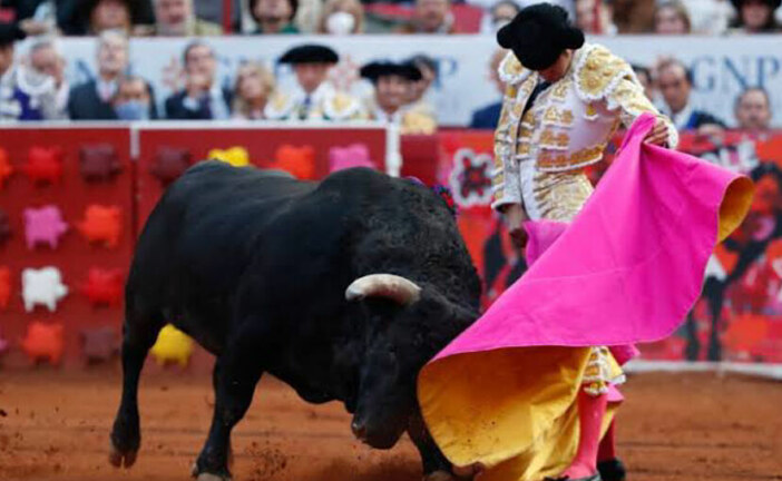 Après plus d’un an d’interdiction, la corrida a repris à Mexico dans la plus grande arène du monde !