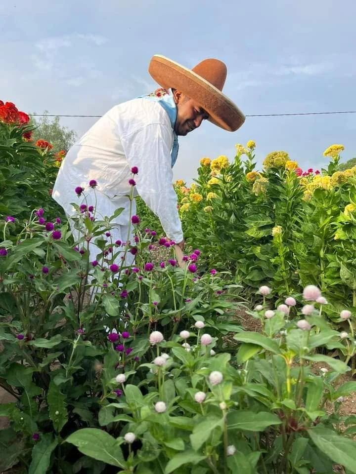 Festival de la Flor de Cresta de Gallo 2026: cuándo y dónde es