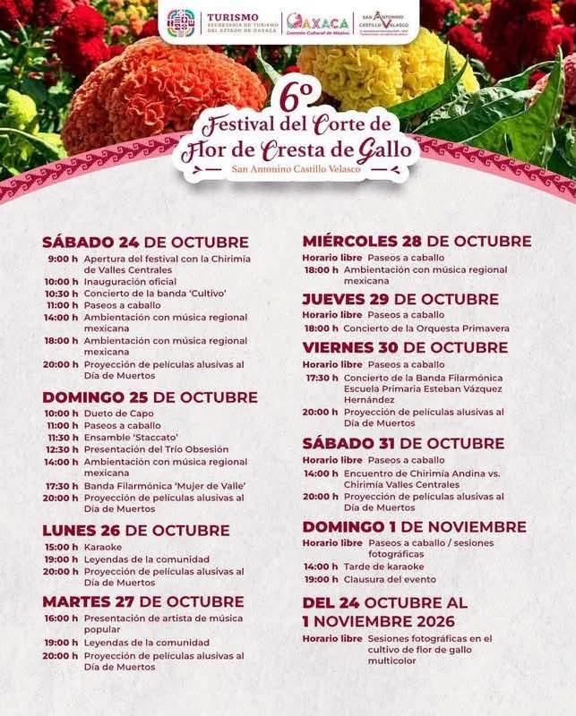 Visitantes podrán recorrer los campos de flor de gallo y conocer las tradiciones de San Antonino Castillo Velasco. Foto: Cortesía 