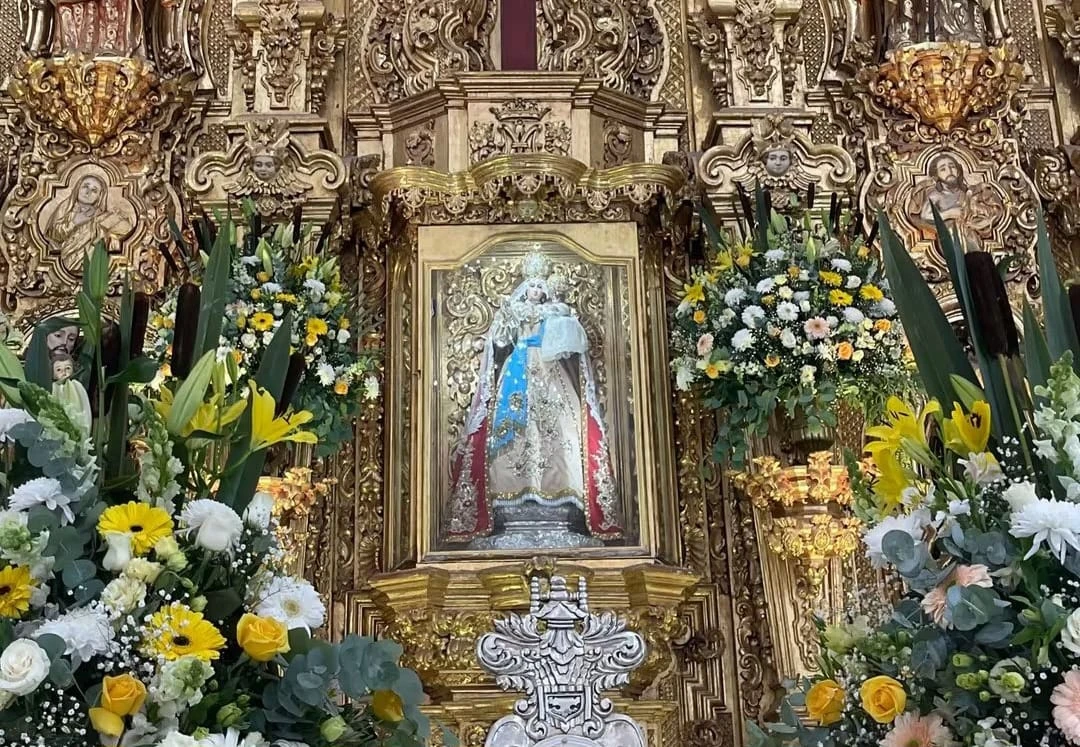 Imagen 8