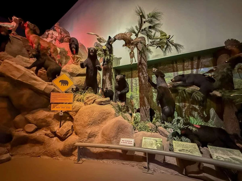Museo del desierto.
