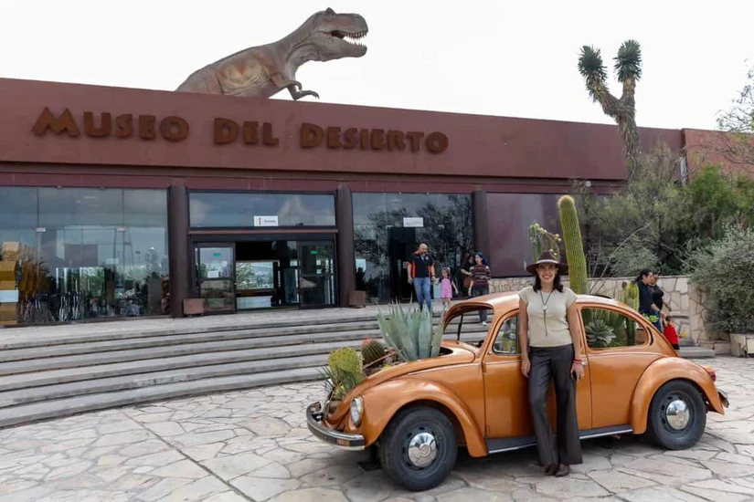 El sarape de Saltillo representa una de las expresiones más reconocidas de la identidad cultural y artesanal de Coahuila. Foto: Cortesía