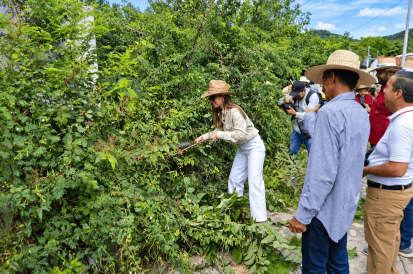 Con machetes y caguayanas en mano, los habitantes de San Javier mantienen viva la tradición de La Taspana, una jornada de limpieza comunitaria que tiene sus orígenes en el siglo XIX y que reúne a las familias para retirar la maleza de las calles y callejones del pueblo