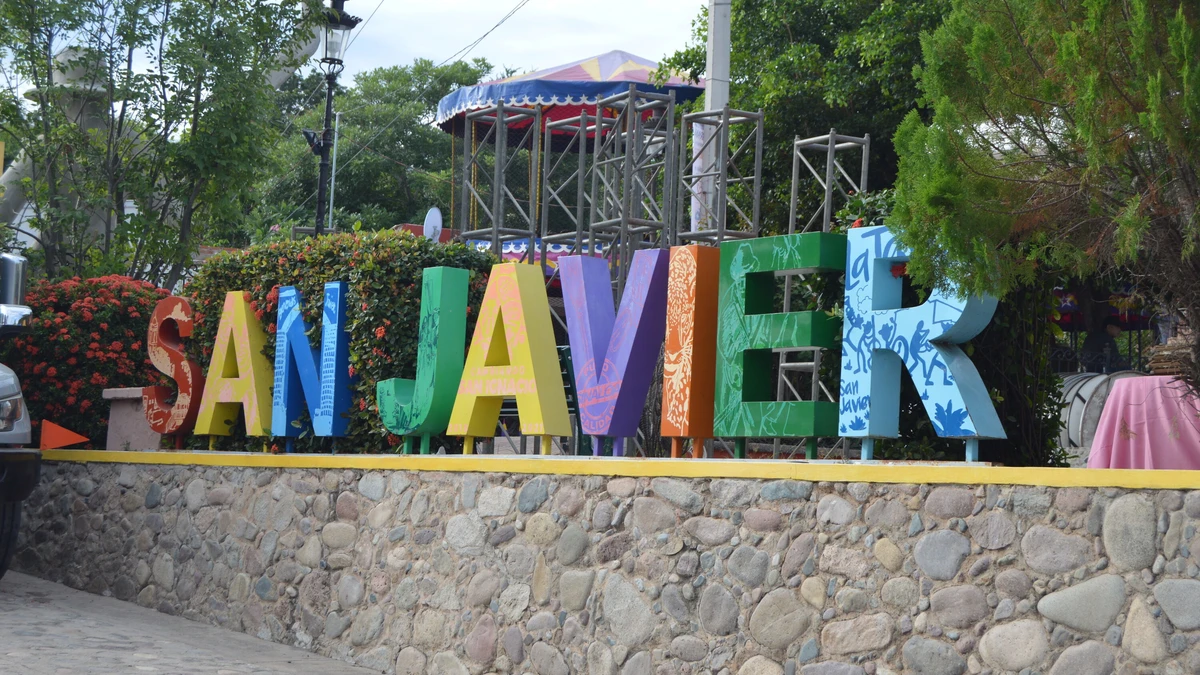 Imagen 5
