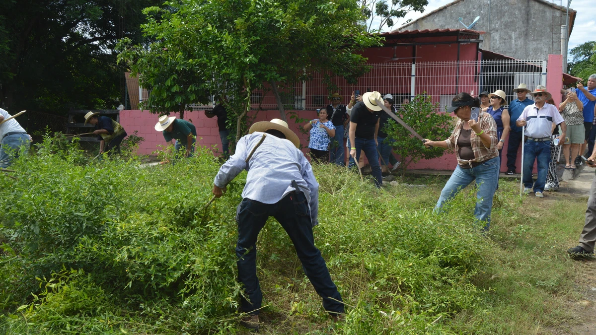 Imagen 10