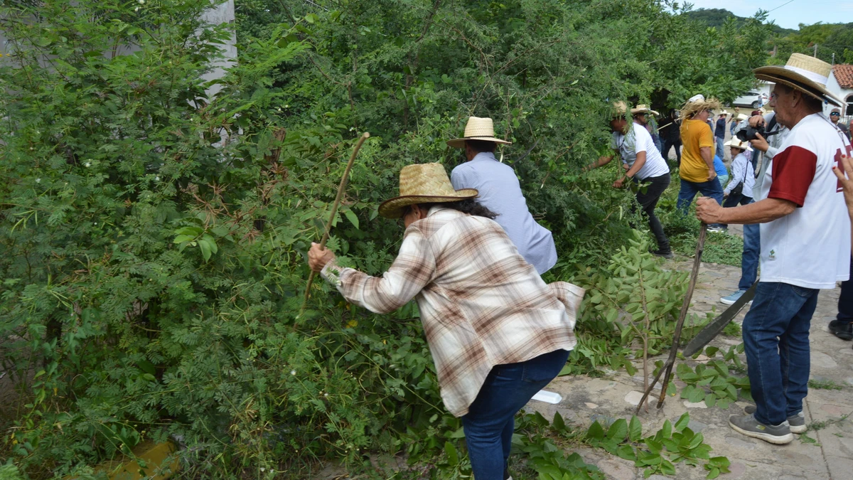 Imagen 8