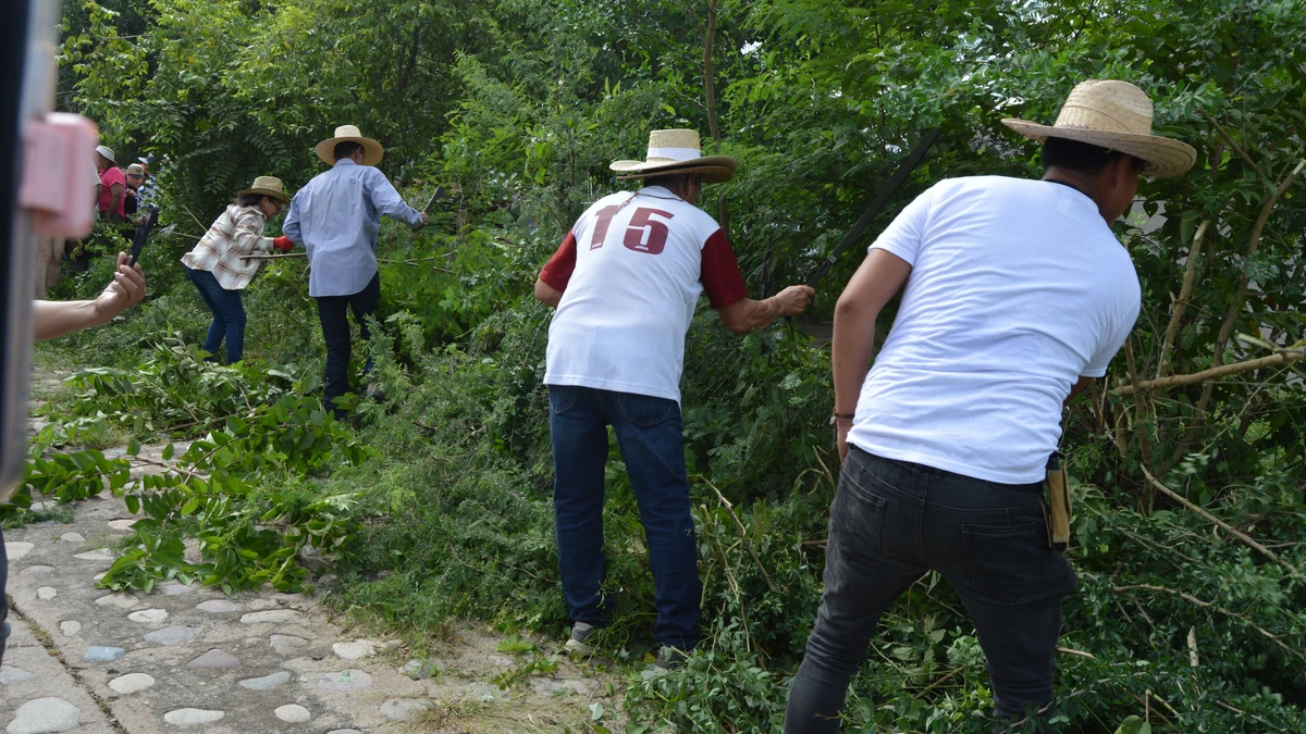 Imagen 7