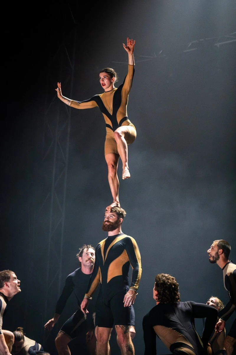 La revista escocesa The List describió a los integrantes de Circa como los “rockstars del circo mundial”, por la energía y fuerza de sus presentaciones.