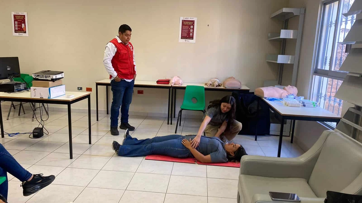 Imagen 10