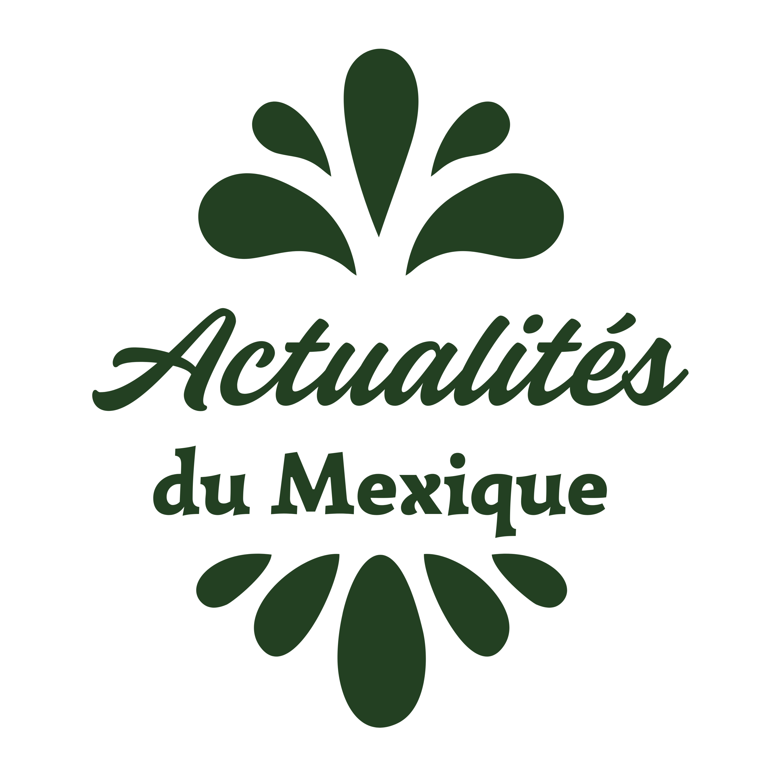 Actualités du Mexique