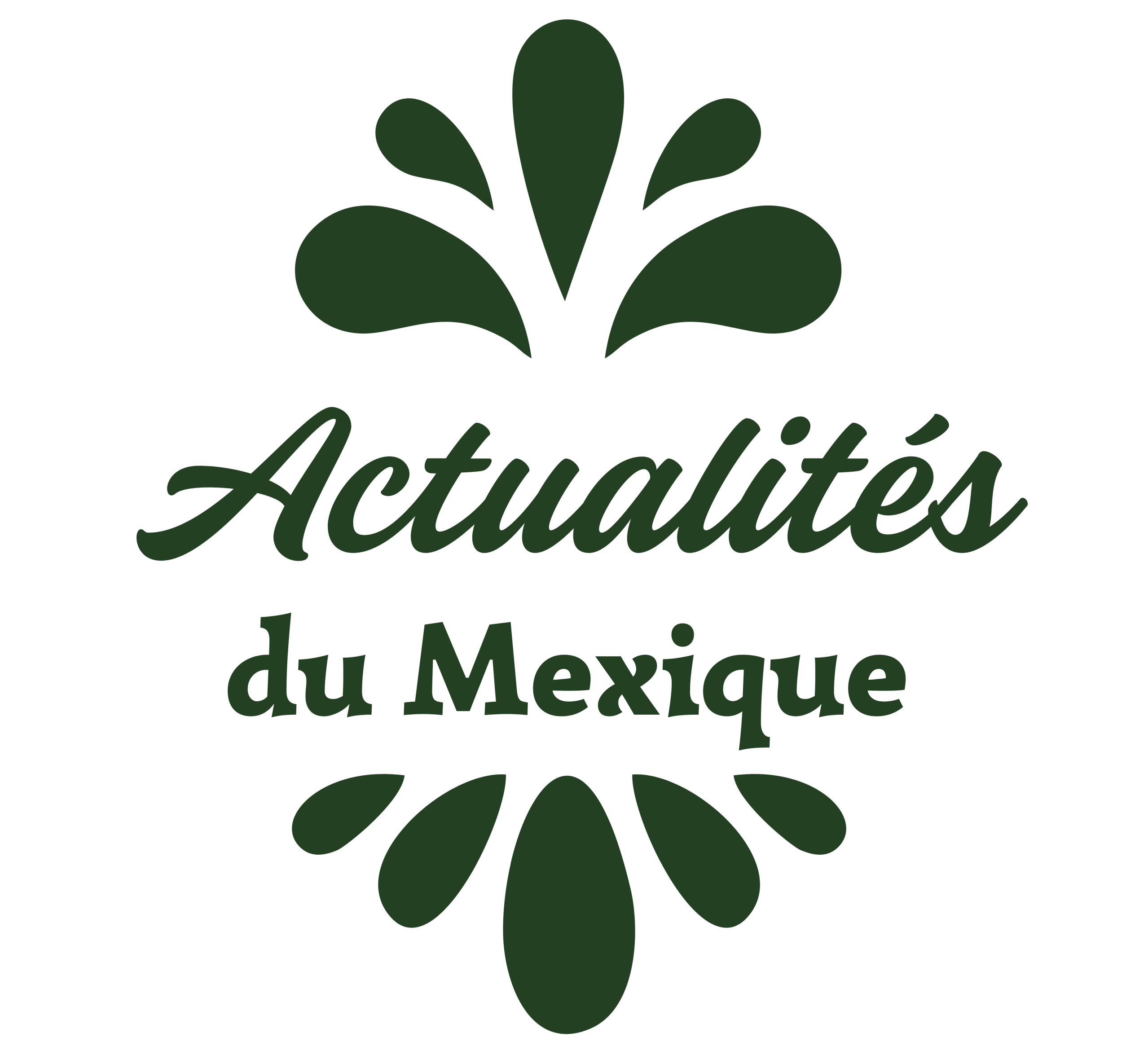 Actualités du Mexique